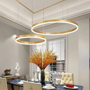 Đèn chùm thả hiện đại thả 2 vòng chữ O D2635/3