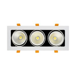 Đèn Led Hộp Âm Trần Chiếu Rọi Topaz 30W GL-3*10SS