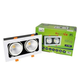 Đèn Led Hộp Âm Trần Chiếu Rọi Topaz 20W GL-2*10SS