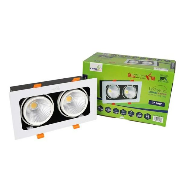 ĐÈN HỘP ÂM TRẦN CHIẾU RỌI TOPAL ĐÔI 20W KINGLED