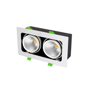 Đèn led hộp âm trần chiếu rọi 20W GL-2*10SS-V227