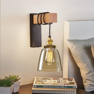 Đèn gắn tường cuốn dây thả chao thuỷ tinh đen khói GTCC-11