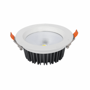 Đèn Spotlight âm trần mẫu R 25-40W DL-RW
