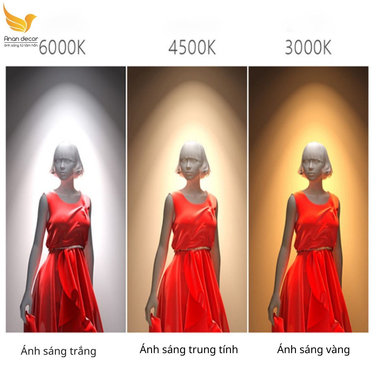 den-roi-ray-cho-shop-thoi-trang-doc-dao-1