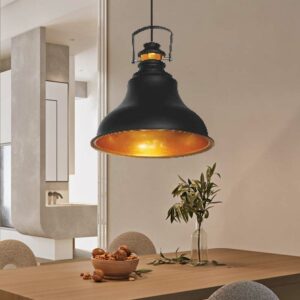 Đèn thả chao công nghiệp trang trí hiện đại BT 7933/1