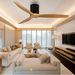 Quạt Trần 3 cánh gỗ trang trí hiện đại RITTER HUGGER SW