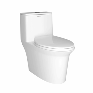 Bồn cầu một khối Arrow AG1081-AM/AG1081