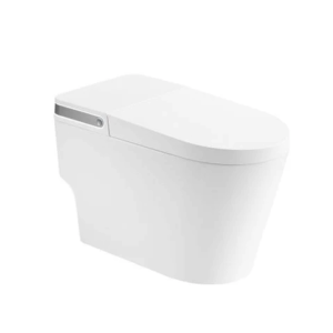 Bồn cầu thông minh Arrow AB1030-AM