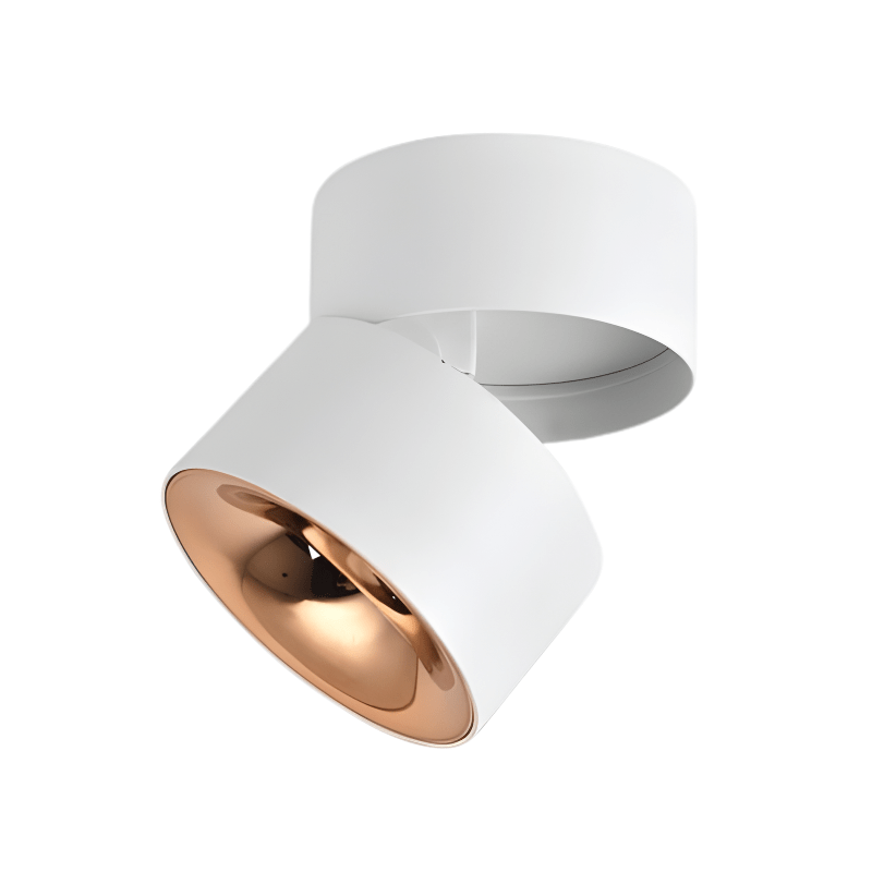 Đèn LED ốp trần nổi xoay góc COA