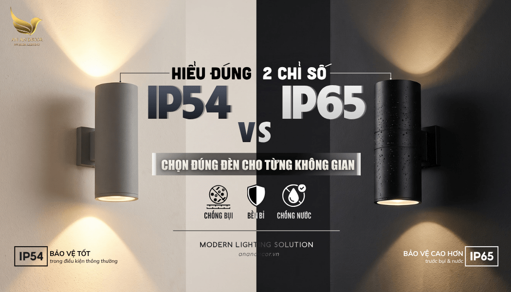 chỉ số IP